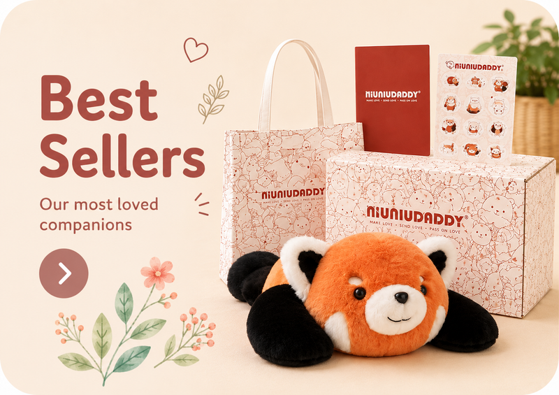 Our Best Sellers