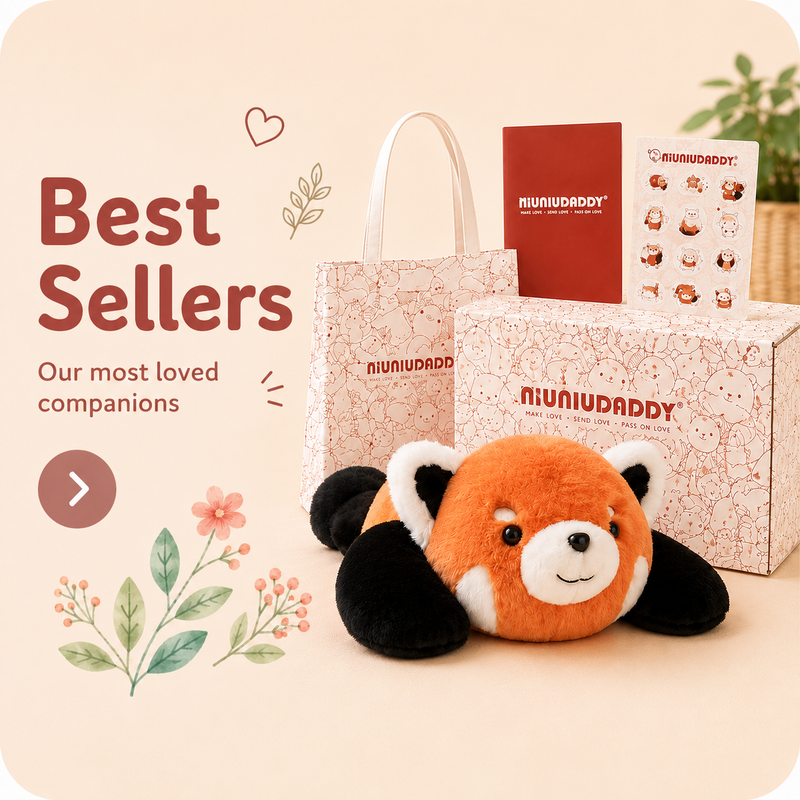 Our Best Sellers