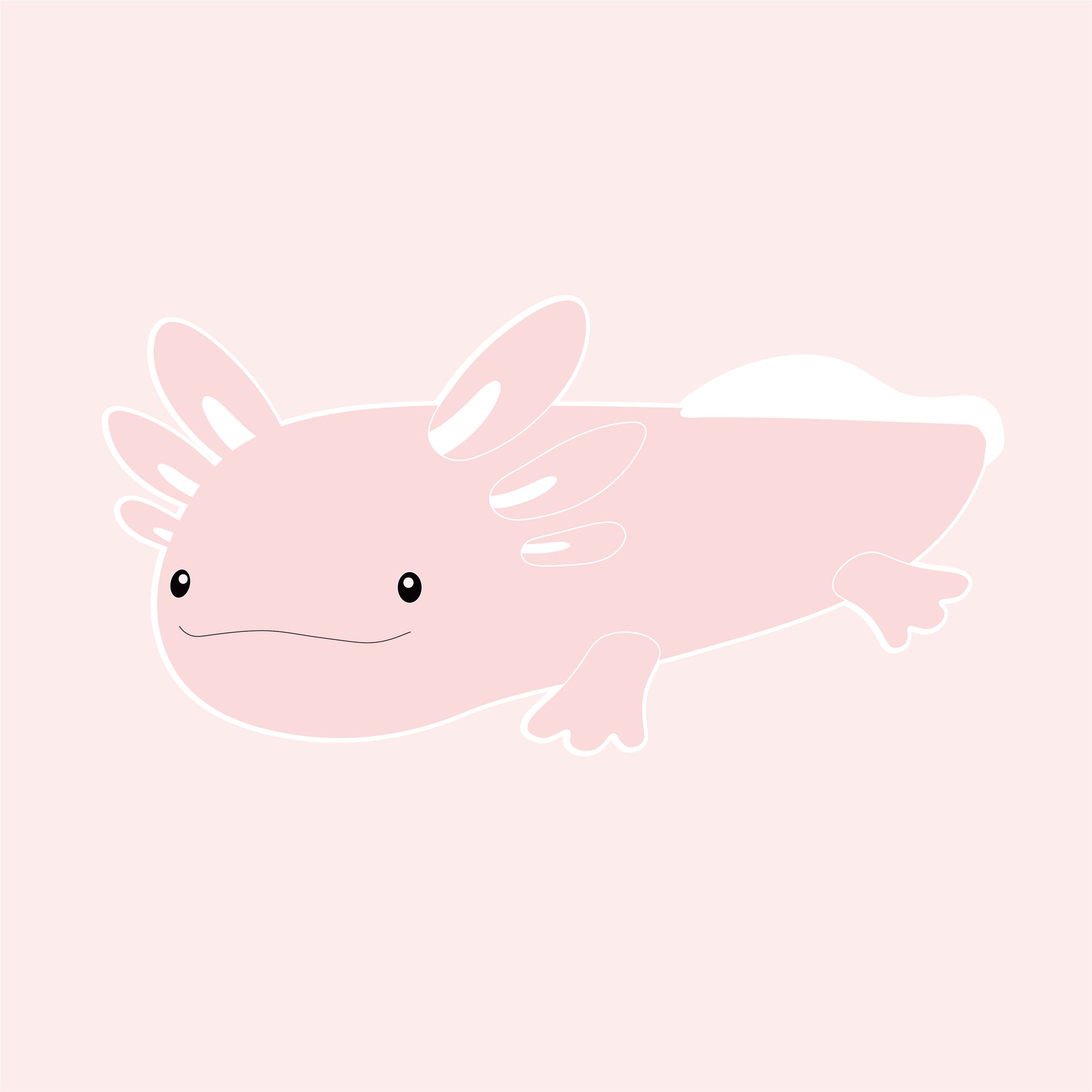 Cute Baby Axolotl -  Hong Kong